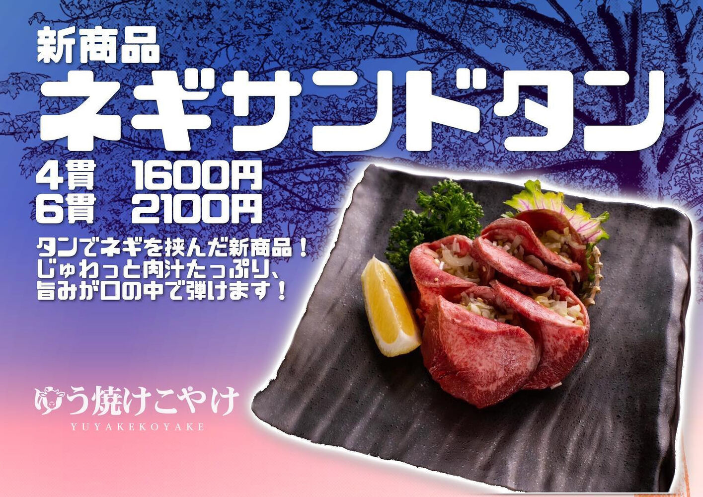 画像1614