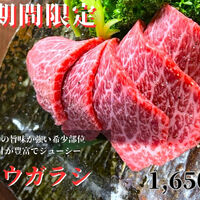 画像3004